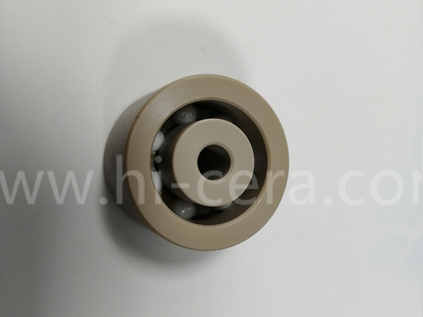 塑料(liao)軸承