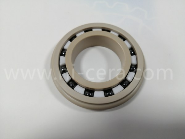 塑(su)料軸承(cheng)